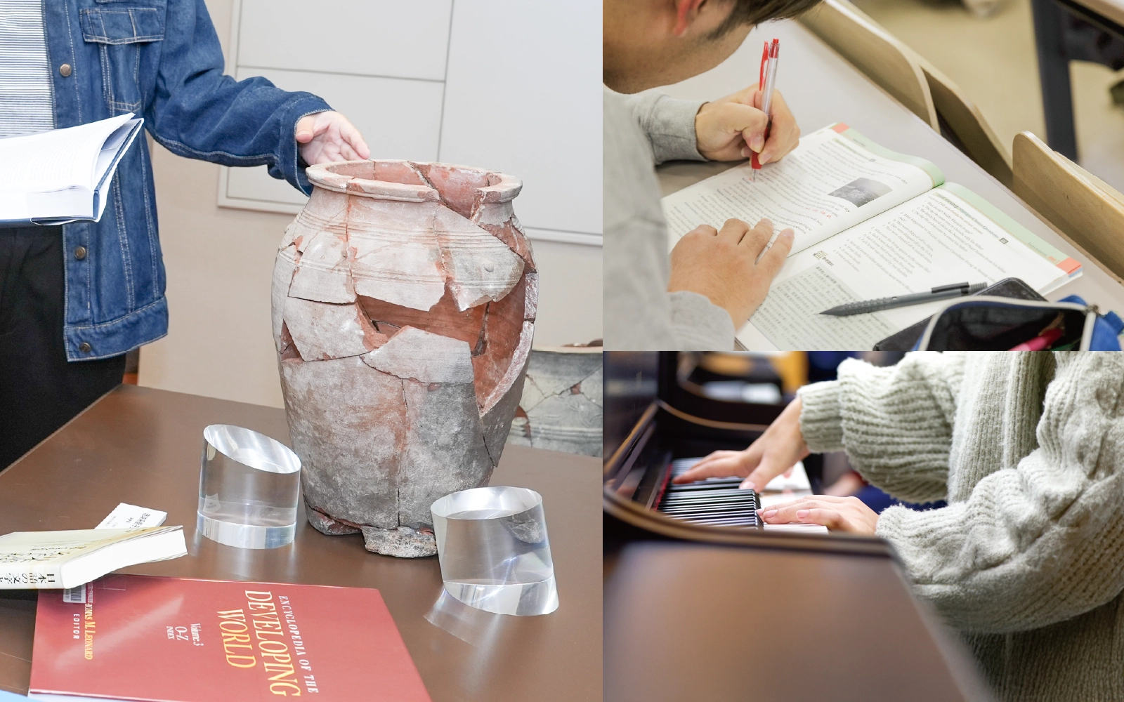 学部イメージ