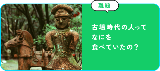 古墳時代の人ってなにを食べていたの？